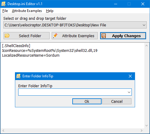 Desktop.ini Editor v1.1