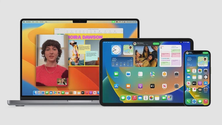 Safari