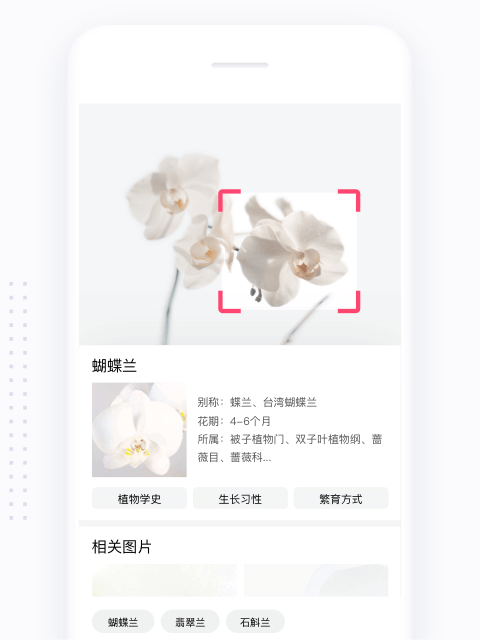 简单搜索