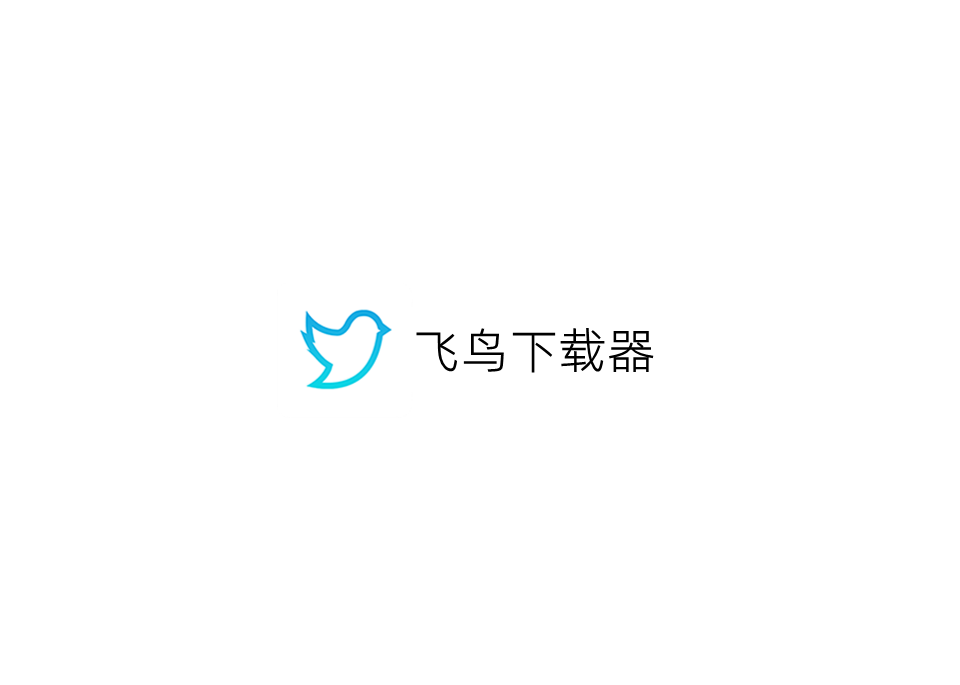 飞鸟下载器-下载软件