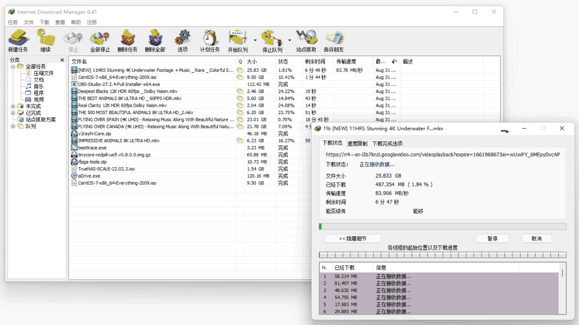 Internet Download Manager
