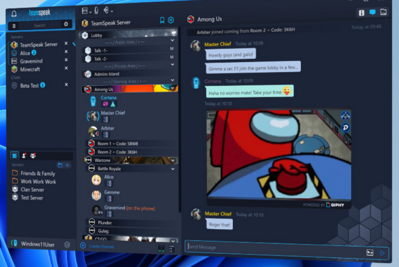 TeamSpeak