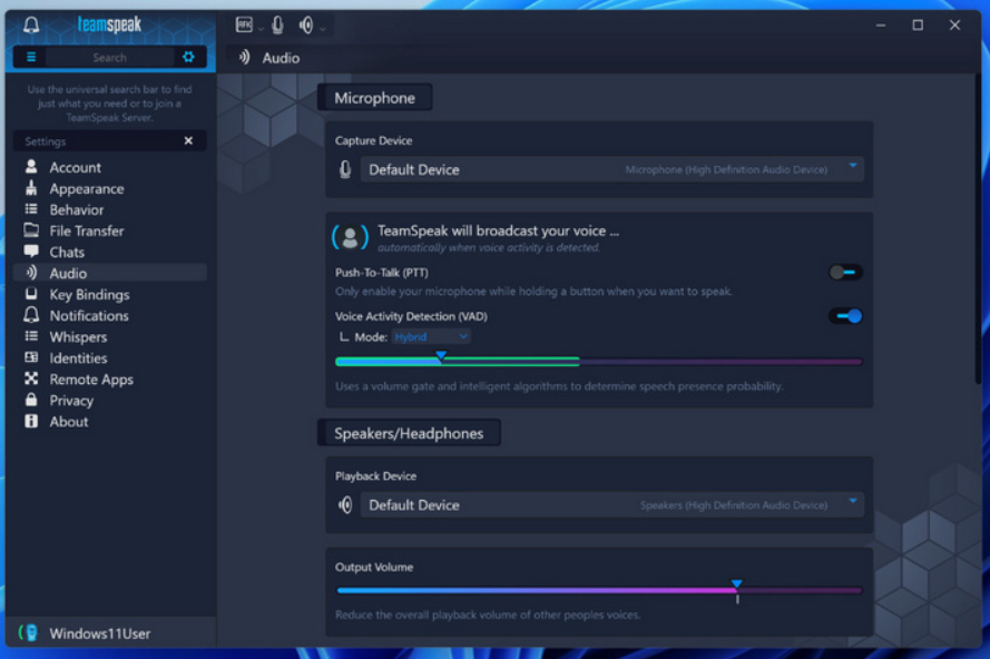 TeamSpeak