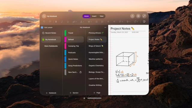 OneNote