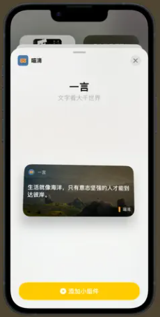 喵滴