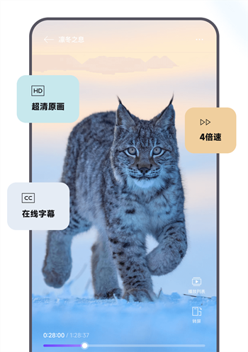 迅雷浏览器