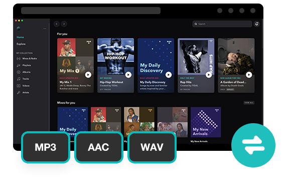 ViWizard Tidal Music Converter