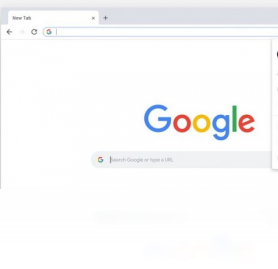 谷歌浏览器 开发版