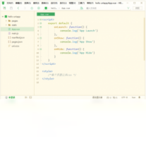 HBuilder X-编程软件