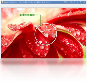 2345看图王