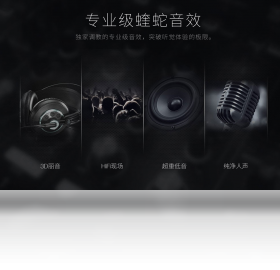 VIPER HiFi