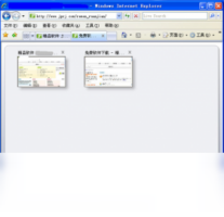 Internet Explorer 8-浏览器