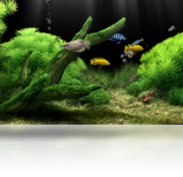 Dream Aquarium-系统软件