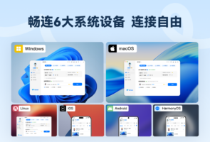 ToDesk-网络软件