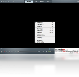 RealPlayer