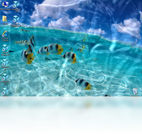 Video Wallpaper