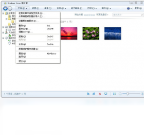 Windows Live 照片库