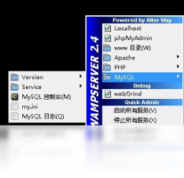 WampServer-编程软件