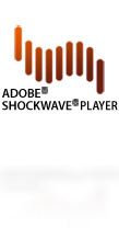 Adobe Shockwave Player